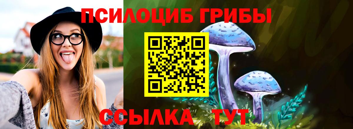 Псилоцибиновые грибы Cubensis  Вход с VPN  Псилоцибиновые грибы Psilocybe  Миасс 